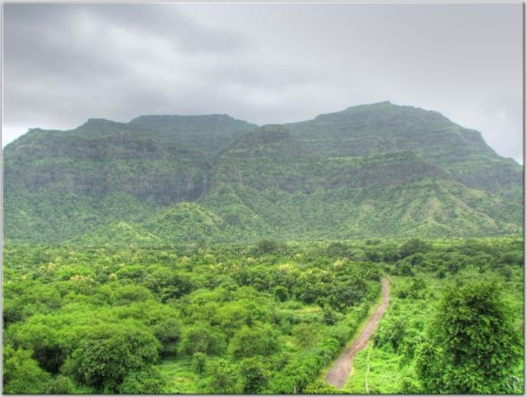 Pavagadh Hill-2